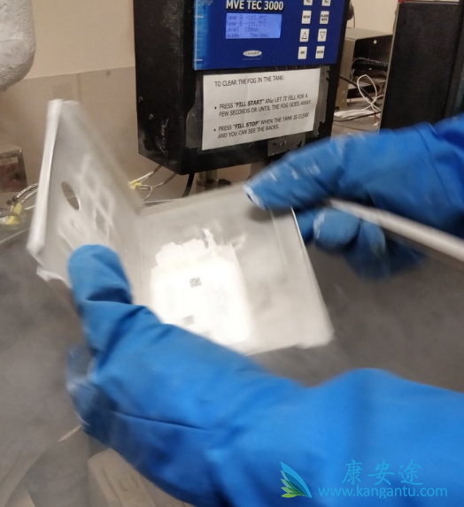 CAR-T�����Ʒ�