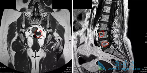 ��֢��ͳ����