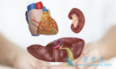 ��������(SORAFENIB)��TACE��������Эͬ������������