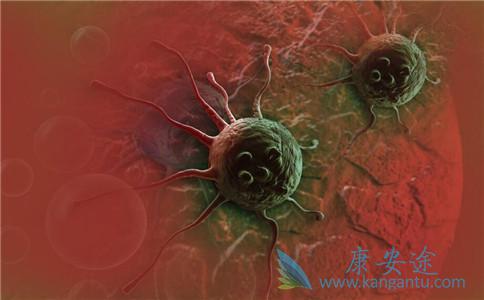 癌症会遗传吗 癌症会遗传吗