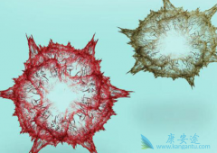 ������ҩ����ܼ�Ч���Ƴ̳�����ʲô�йأ�