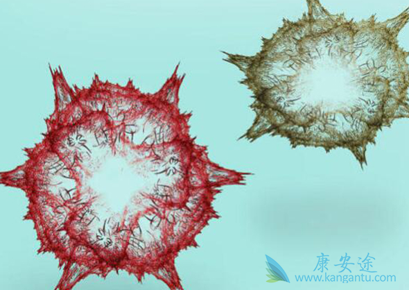 ������ҩ