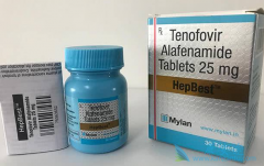 �Ҹλ��߳�������ŵ��Τ����(TAF)���ư�ȫ���б�����