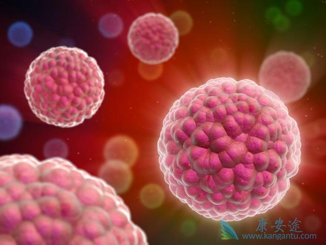 ��֢���κ���