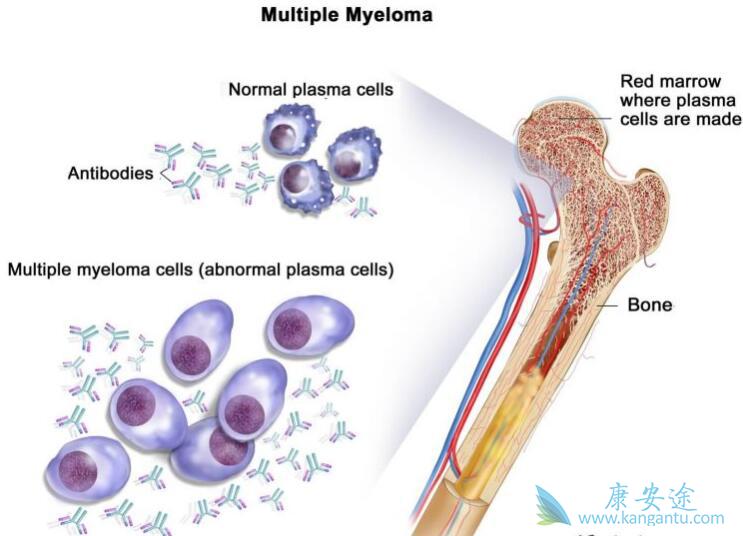 ��֢������