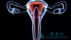 ��������/����˹������Ϊ��չ���ѳ������ߵ�һ����ҩ