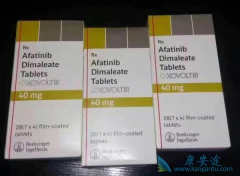 ��Եڶ���ΰ����ͷ��۰��ð�������(AFATINIB)����Ч����Σ�