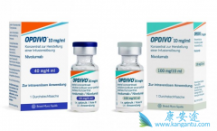 PD-1����Opdivo����CTLA-4������ƥ�����뵥ҩ����Ч���Ա�