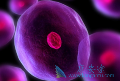 ��³����