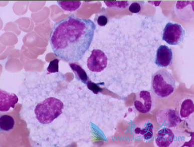 �ϼ�����³����