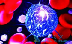 ��Щ���߲���ʹ�ð���ҩ����³����/��³����