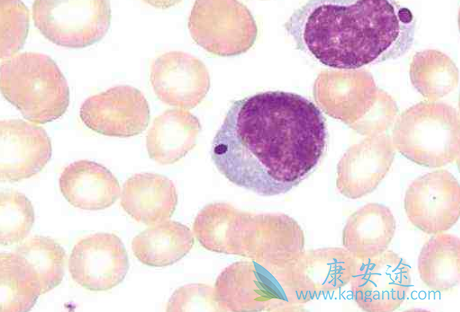 ��³����