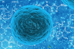 ���޻�(Rituximab)ά�����������������������ܰ������ߵ�OS
