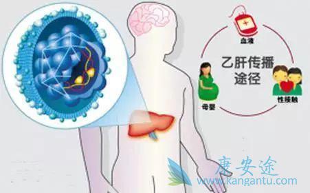 乙肝病毒携带者会传染吗 乙肝病毒携带者会传染吗