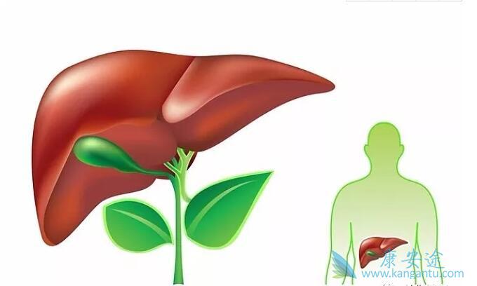 乙肝转阴 乙肝转阴