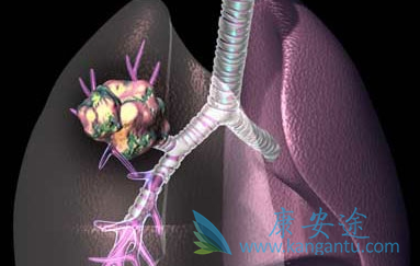 雷莫芦单抗 雷莫芦单抗