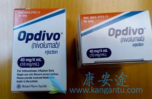 纳武单抗 纳武单抗