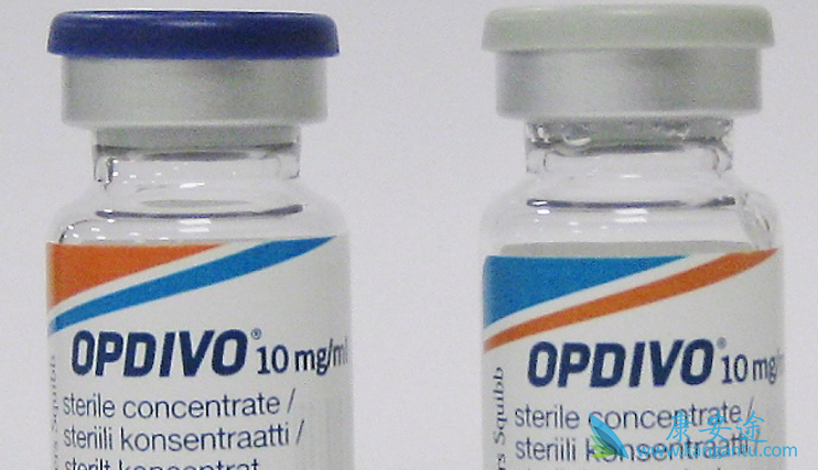 �����Ʒ�������