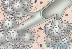 ������ͪ����Щ���ұ���׼���������ط��Է���ά��