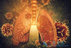 ������ͪ�ܽ����ط��Է���ά�����ߵ���������