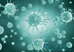 ͨ����cartϸ��ϵͳ������ǿcartϸ���Ʒ���������