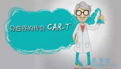 CAR-T��PD-1��Ͽ�����Tϸ�������Ƶ�����