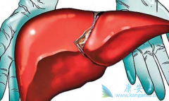 �Ҹλ��߷��ý��ڶ��濨Τ��ɢƬ�ڼ�Ҫ���ڼ��