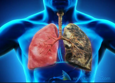 ��Сϸ���ΰ�