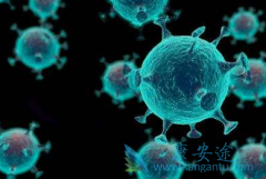 ��θ���õĻ���ʲôʱ���ӡ�����޿�(GRLONAT)�ȽϺ�