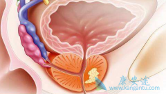 ����/���������ڳ���ת�Ƶֿ���ǰ���ٰ�����������Խ��