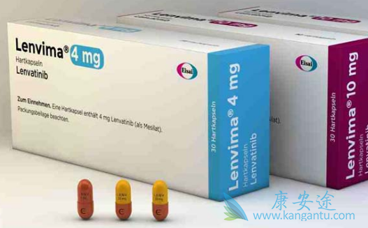 �ط�����