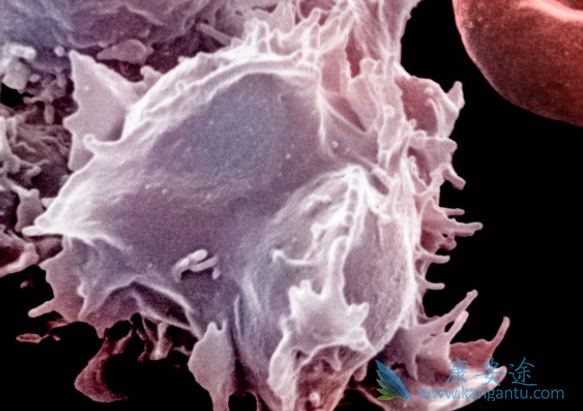 ������������Ӧ