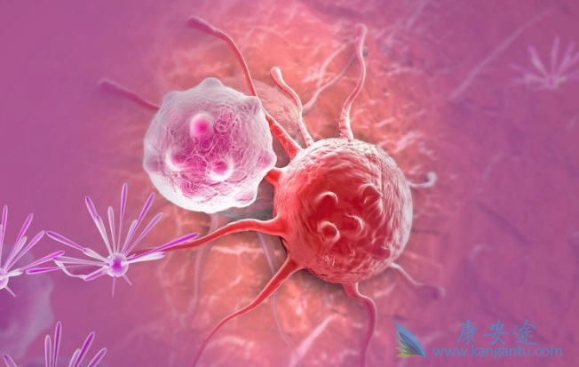 ��ķ����