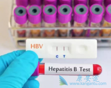 �Ҹ�С��������������ŵ��Τ����(TAF)���п�����������