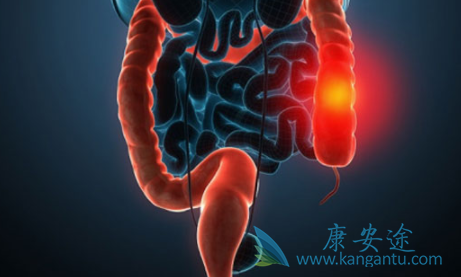 西妥昔单抗 西妥昔单抗