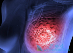 ��ά˾Ⱥ(Fulvestrant)���������ٰ��ڷ�������ҩ���ֱ��