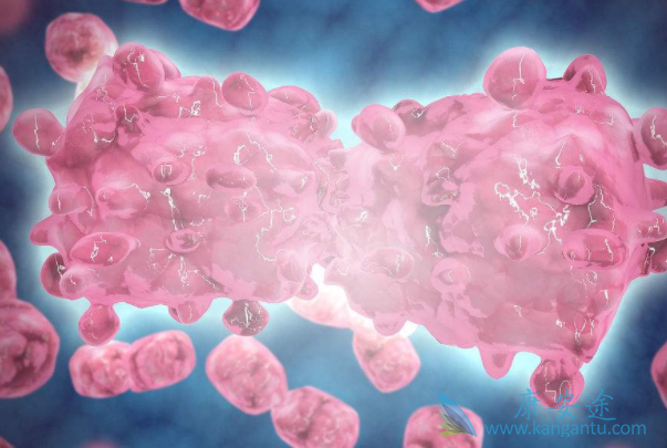 尼洛替尼 尼洛替尼