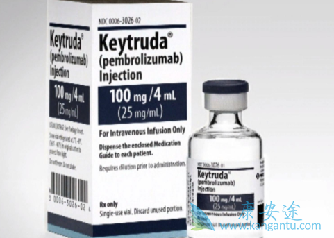 PD-1抗体 PD-1抗体