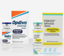 CTLA-4ҩ������CK2���Ƽ�ʵ�����ư�֢��Ч�����