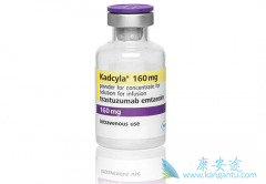 �����鵥��ҩ��ż���T-DM1/Kadcyla��������HER2ͻ��