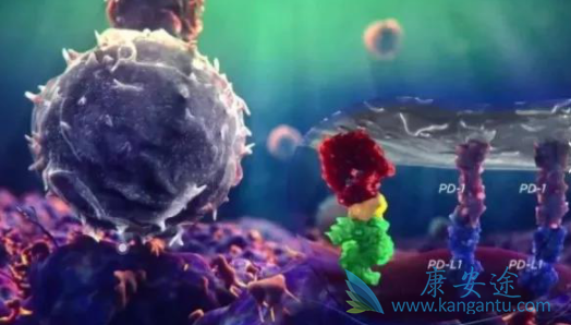 ��ķ����