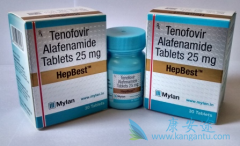 �ڹ���û�����е�ӡ��TAF(HepBest)���Ǹ���ι���