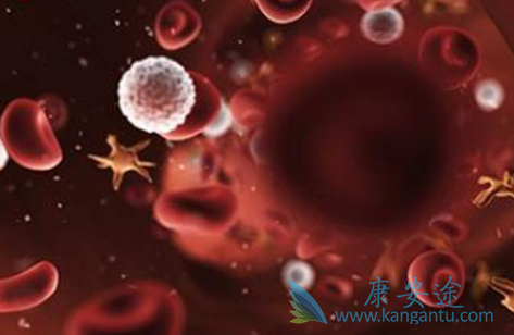 吡非尼酮 吡非尼酮