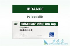 �������ٰ����߸����ʹ����������(Ibrance)