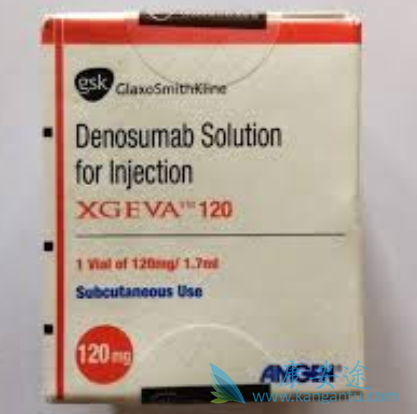 ��ŵ����