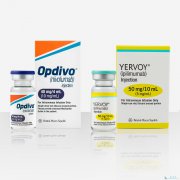 PD-1�����������ȵ������й�������Ӧ֢û��Ҫ����PDL1ˮƽ