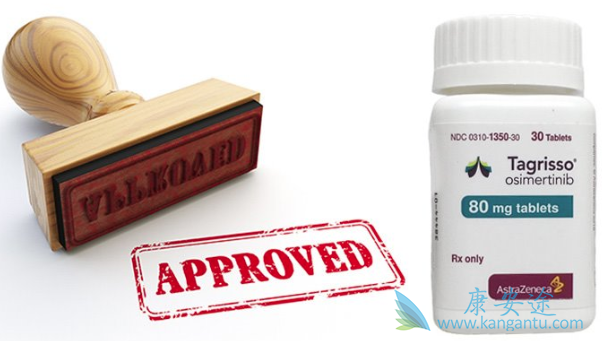 ��ϣ����