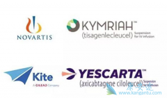 Yescarta��Kymriah��Ŀǰ���е�Ψһ����CAR-T�Ʒ�