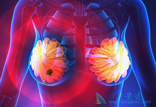 阿特朱单抗 阿特朱单抗