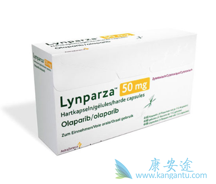 PARP抑制剂 PARP抑制剂